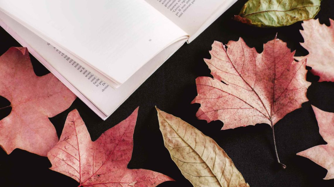 Tutte le novità d’autunno in libreria