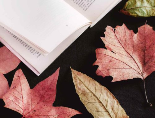 Tutte le novità d’autunno in libreria