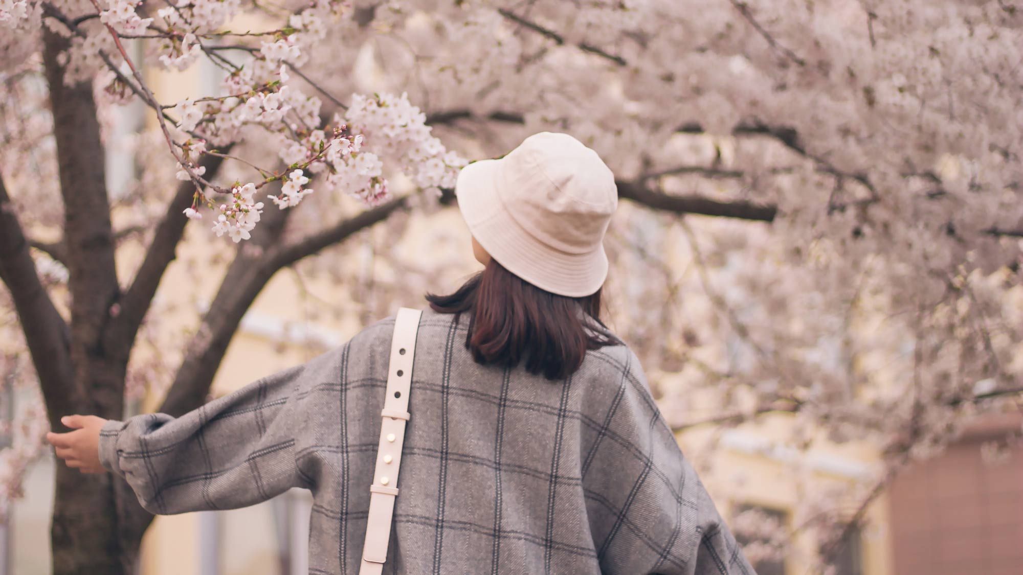 Dieci curiosità sulla primavera che potresti non conoscere