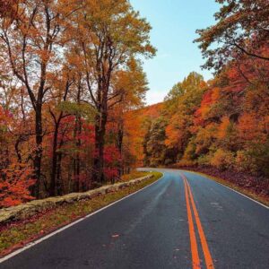 Il suggestivo mutamento di colore degli alberi in autunno