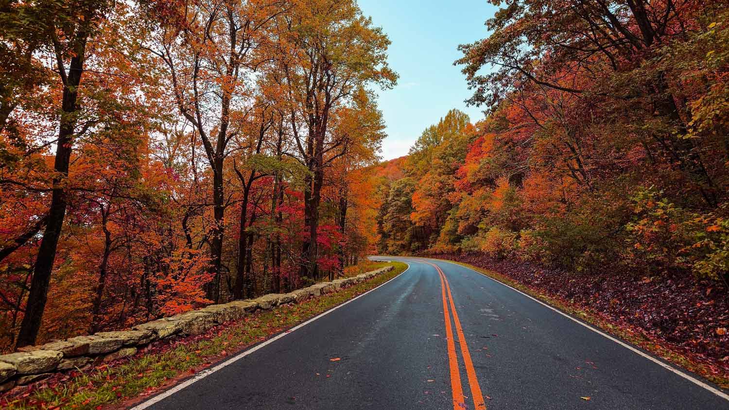 Il suggestivo mutamento di colore degli alberi in autunno