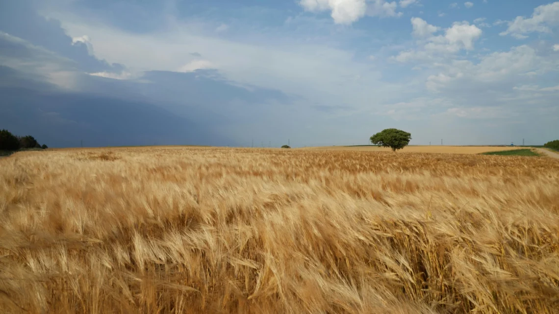 Consigli e curiosità per vivere al meglio l'inizio estate 2025 (2)