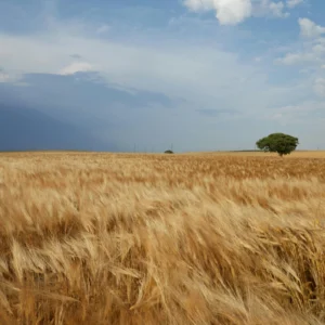 Consigli e curiosità per vivere al meglio l'inizio estate 2025 (2)
